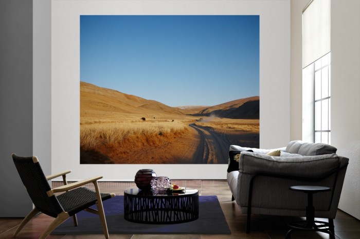 Die Fototapete Grassland in Amerika als große Bildtapete im Wohnzimmer. Als Bildtapete ist die Fototapete Grassland in Amerika ein besonderes Highlight auf Vliestapete.
