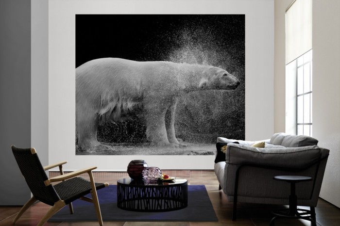 Die Fototapete Eisbär, schwarz-weiß als große Bildtapete im Wohnzimmer. Als Bildtapete ist die Fototapete Eisbär, schwarz-weiß ein besonderes Highlight auf Vliestapete.