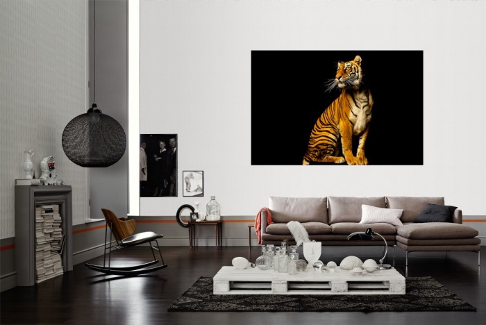 Die Fototapete Tiger, Fotografie by Mark Laita als Wandbild im Wohnzimmer. Die Vlies-Fototapete Tiger, Fotografie by Mark Laita verschönert als Wandbild Deine Wand.