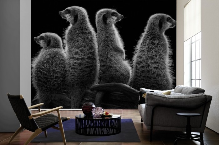 Im Wohnzimmer die Fototapete Erdmännchen, schwarz-weiß auf einer großen Wand tapeziert. Die Fototapete Erdmännchen, schwarz-weiß ist als Vlies-Fototapete im Wohnzimmer leicht zu tapezieren.