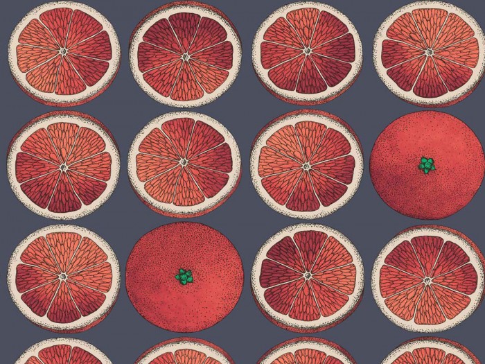 Ansicht der Fornasetti Tapete 114/24046 Arance von Cole and Son