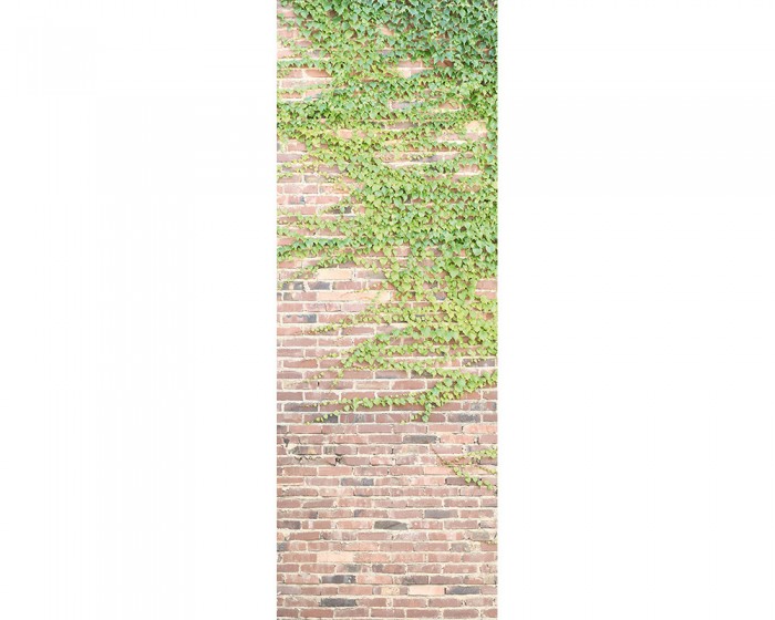 Du möchtest das 3D-Fotopanel Ziegel Steinwand mit Efeu online bestellen, aber du benötigst andere Abmessungen? Kontaktiere uns einfach!