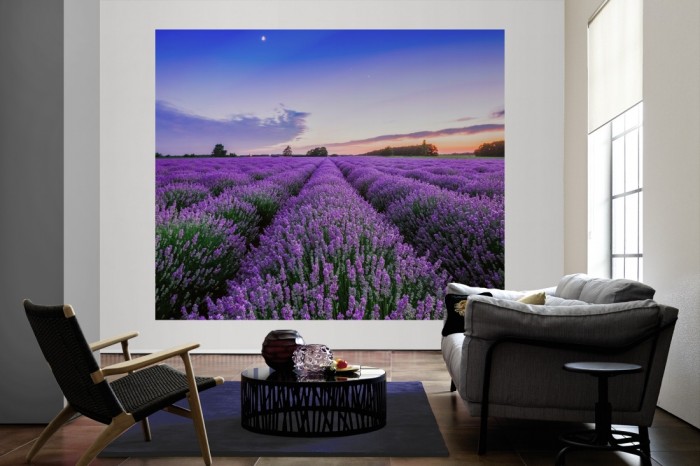Die Fototapete Lavendel Feld bei Sonnenuntergang als große Bildtapete im Wohnzimmer. Als Bildtapete ist die Fototapete Lavendel Feld bei Sonnenuntergang ein besonderes Highlight auf Vliestapete.