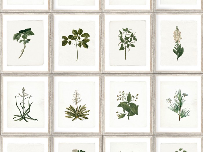 Detailansicht der Selected Walls Tapete Sölden Plants Wallpaper Col. 01