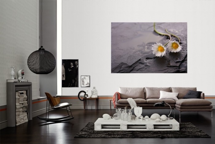 Die Fototapete Kamillenblüten auf Schieferstein als Wandbild im Wohnzimmer. Die Vlies-Fototapete Kamillenblüten auf Schieferstein verschönert als Wandbild Deine Wand.