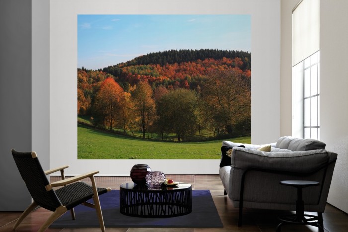 Die Fototapete Herbstwald im Bergischen Land als große Bildtapete im Wohnzimmer. Als Bildtapete ist die Fototapete Herbstwald im Bergischen Land ein besonderes Highlight auf Vliestapete.
