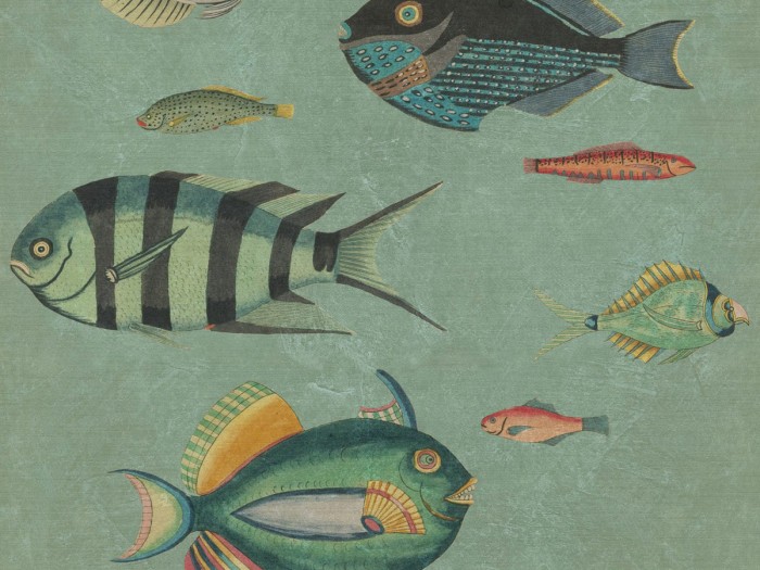 Detailansicht der Selected Walls Tapete Puerto Ayora Fishes Wallpaper Col. 01