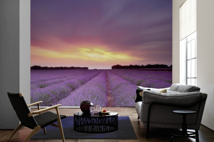 Im Wohnzimmer die Fototapete Lavendel Feld bei Sonnenuntergang, Frankreich auf einer großen Wand tapeziert. Die Fototapete Lavendel Feld bei Sonnenuntergang, Frankreich ist als Vlies-Fototapete im Wohnzimmer leicht zu tapezieren.