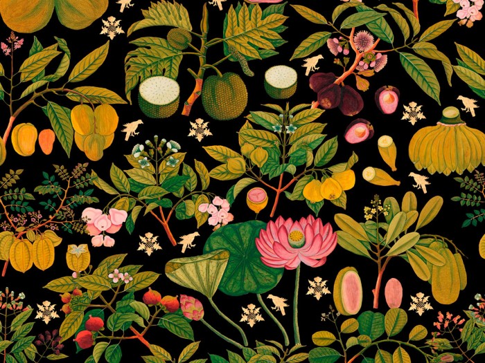 Detailansicht der Selected Walls Tapete Wuhan Fruits Wallpaper Col. 01