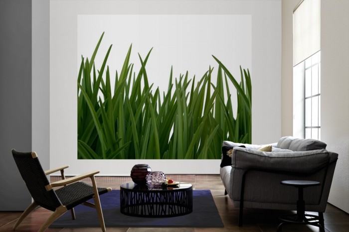 Die Fototapete Gras, dunkelgrüne Grashalme als große Bildtapete im Wohnzimmer. Als Bildtapete ist die Fototapete Gras, dunkelgrüne Grashalme ein besonderes Highlight auf Vliestapete.