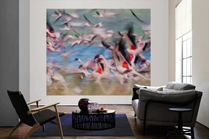 Die Fototapete Flamingos in Kenia als große Bildtapete im Wohnzimmer. Als Bildtapete ist die Fototapete Flamingos in Kenia ein besonderes Highlight auf Vliestapete.