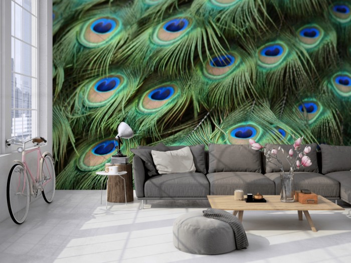 Die Design-Fototapete Federn vom Pfau, Pfauenfedern auf einer großen Wand im Loft tapeziert. Die Design-Fototapete Federn vom Pfau, Pfauenfedern wird individuell auf Deine Wand angepasst.