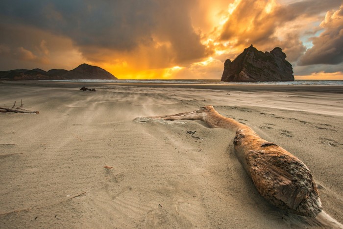 Die Fototapete Strand von Neuseeland bei Sonnenuntergang, eine Vlies-Fototapete bei Livingwalls Cologne online kaufen. Die Fototapete Strand von Neuseeland bei Sonnenuntergang ist eine Fototapete auf Maß.
