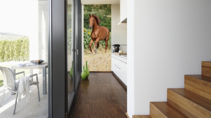 Ein Foto von dem 3D Fotopanel Pferd auf der Weide tapeziert in der Küche. Bestelle Deine Bildtapete online.