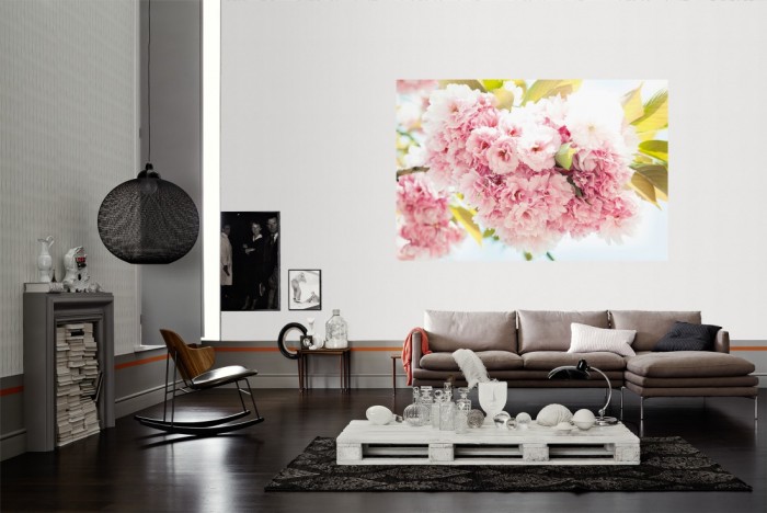 Die Fototapete Kirschblüten im Frühling als Wandbild im Wohnzimmer. Die Vlies-Fototapete Kirschblüten im Frühling verschönert als Wandbild Deine Wand.