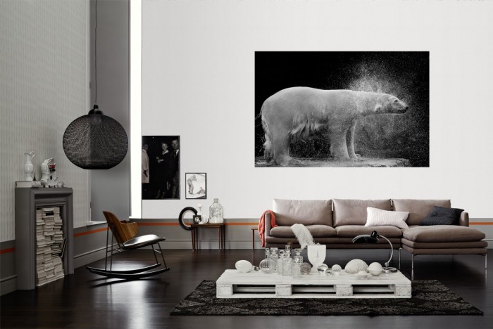 Die Fototapete Eisbär, schwarz-weiß als Wandbild im Wohnzimmer. Die Vlies-Fototapete Eisbär, schwarz-weiß verschönert als Wandbild Deine Wand.