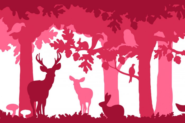 Die Design-Fototapete Märchenwald Pink-Rot, Artwork, eine Vlies-Fototapete bei Livingwalls Cologne online kaufen. Die Design-Fototapete Märchenwald Pink-Rot, Artwork ist eine Fototapete auf Maß.