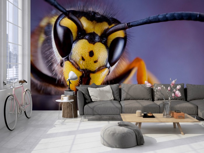 Die Fototapete Wespe im Blick auf einer großen Wand im Loft tapeziert. Die Fototapete Wespe im Blick wird individuell auf Deine Wand angepasst.
