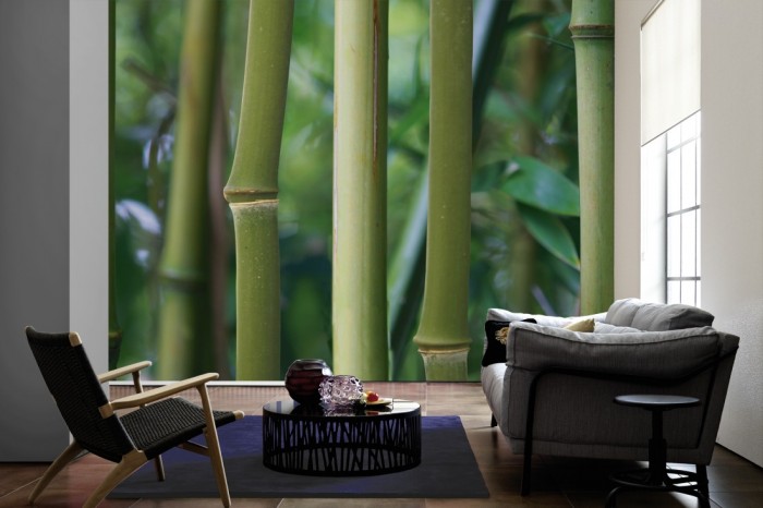 Im Wohnzimmer die Fototapete Bambus im Detail auf einer großen Wand tapeziert. Die Fototapete Bambus im Detail ist als Vlies-Fototapete im Wohnzimmer leicht zu tapezieren.