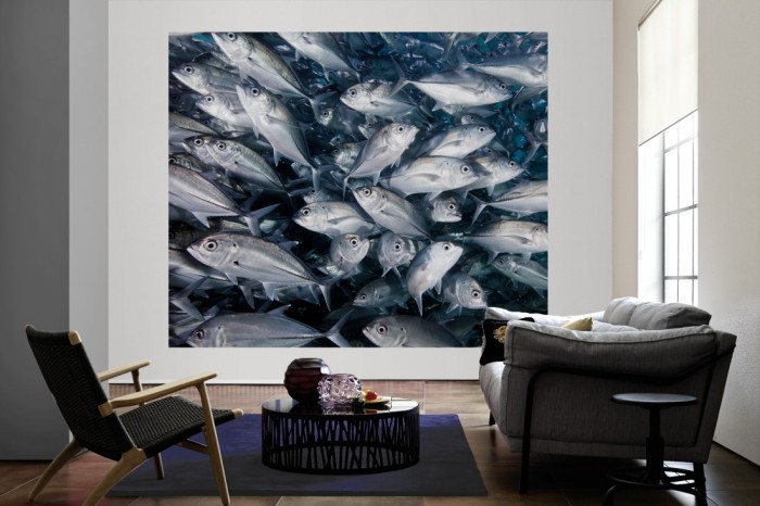 Die Fototapete Fische im Schwarm, Amberjacks als große Bildtapete im Wohnzimmer. Als Bildtapete ist die Fototapete Fische im Schwarm, Amberjacks ein besonderes Highlight auf Vliestapete.