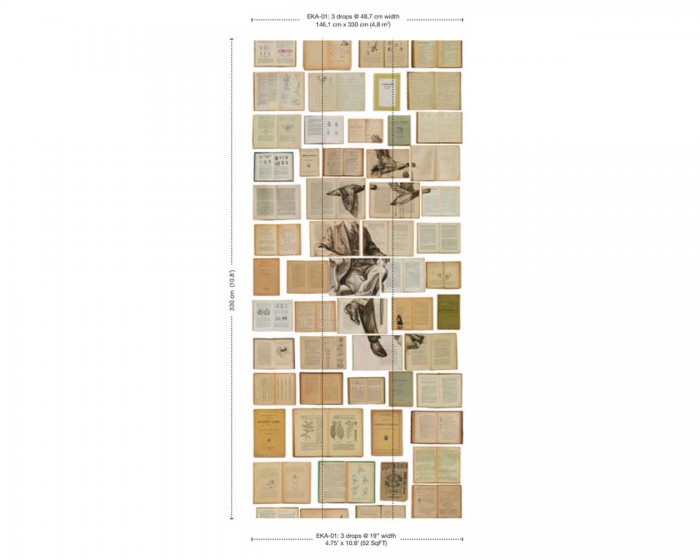 Abmessungen der NLXL Tapete EKA-01 Biblioteca von Ekaterina Panikanova.