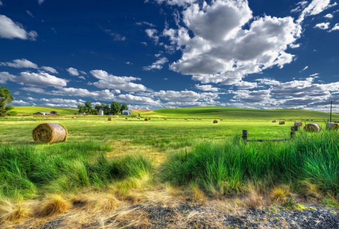 Die Fototapete Landschaft in Amerika mit Strohballen, eine Vlies-Fototapete bei Livingwalls Cologne online kaufen. Die Fototapete Landschaft in Amerika mit Strohballen ist eine Fototapete auf Maß.