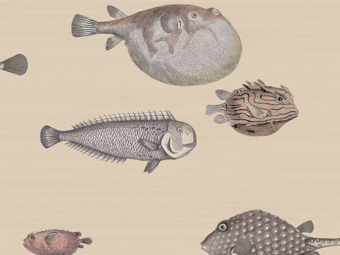 Ansicht der Fornasetti Tapete 114/16033 Acquario von Cole and Son