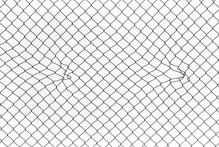 Die Fototapete Drahtzaun, eine Vlies-Fototapete bei Livingwalls Cologne online kaufen. Die Fototapete Drahtzaun ist eine Fototapete auf Maß.