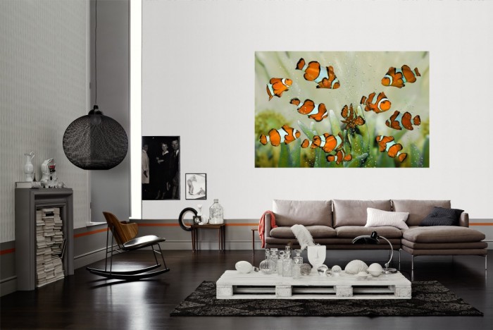 Die Fototapete Fische im Aquarium, Clownfische als Wandbild im Wohnzimmer. Die Vlies-Fototapete Fische im Aquarium, Clownfische verschönert als Wandbild Deine Wand.