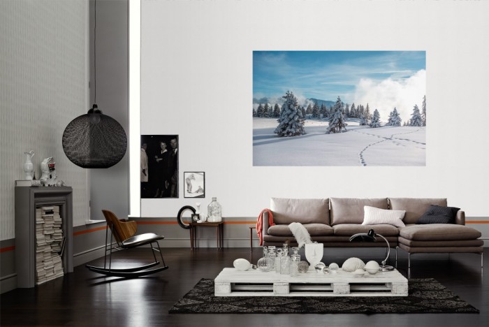 Die Fototapete Wald im Winter, Schwarzwald als Wandbild im Wohnzimmer. Die Vlies-Fototapete Wald im Winter, Schwarzwald verschönert als Wandbild Deine Wand.
