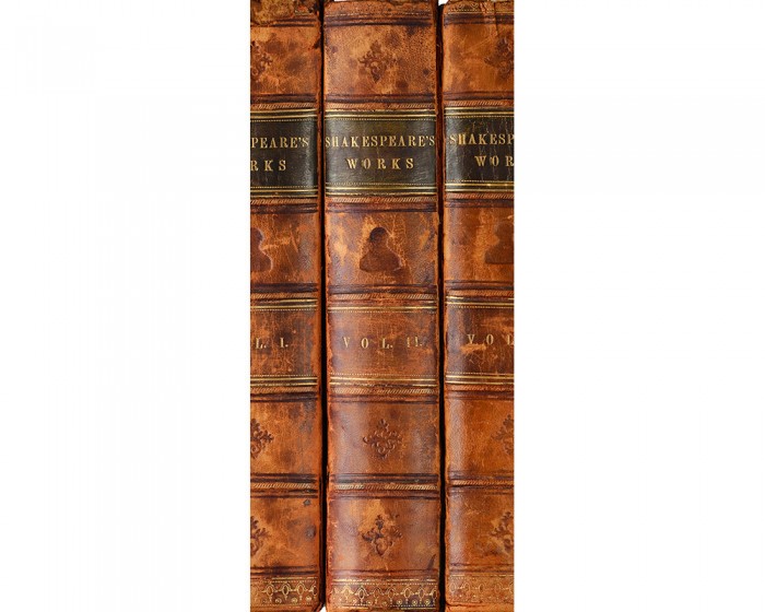 Du möchtest die selbstklebende Türtapete Alte Bücher von Shakespeare's Werken online bestellen, aber die Maße passen nicht auf Deine Tür? Kontaktiere uns einfach!