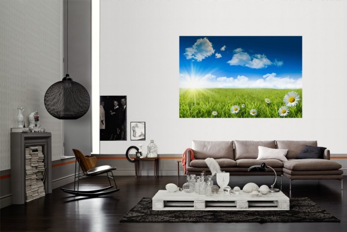 Die Fototapete Sommerwiese unter blauem Himmel als Wandbild im Wohnzimmer. Die Vlies-Fototapete Sommerwiese unter blauem Himmel verschönert als Wandbild Deine Wand.