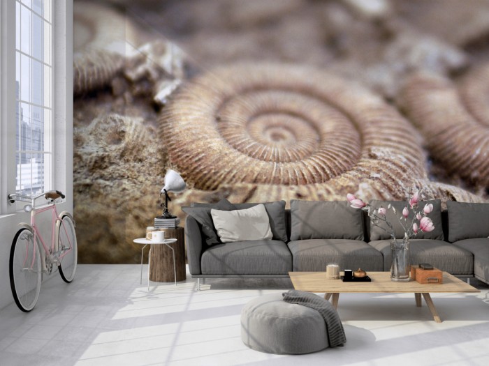 Die Fototapete Fossil auf einer großen Wand im Loft tapeziert. Die Fototapete Fossil wird individuell auf Deine Wand angepasst.