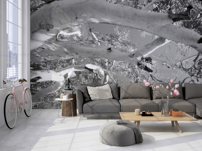 Die Fototapete Baumkrone, schwarz-weiß auf einer großen Wand im Loft tapeziert. Die Fototapete Baumkrone, schwarz-weiß wird individuell auf Deine Wand angepasst.