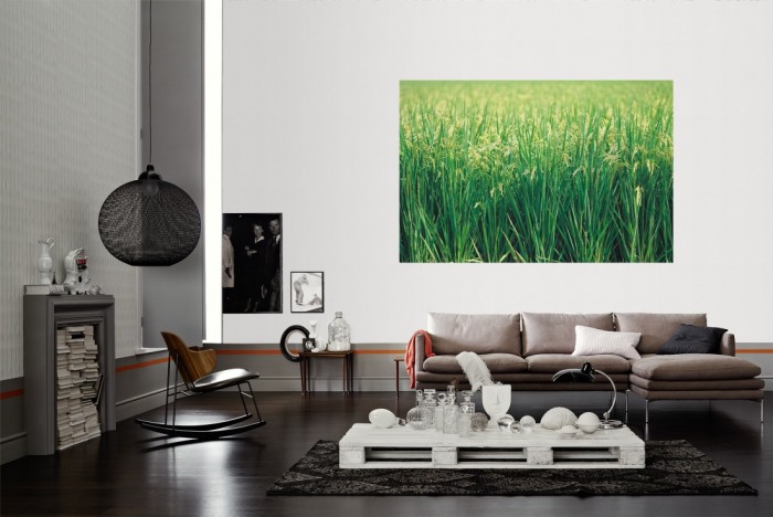 Die Fototapete Gras, Sommerwiese als Wandbild im Wohnzimmer. Die Vlies-Fototapete Gras, Sommerwiese verschönert als Wandbild Deine Wand.