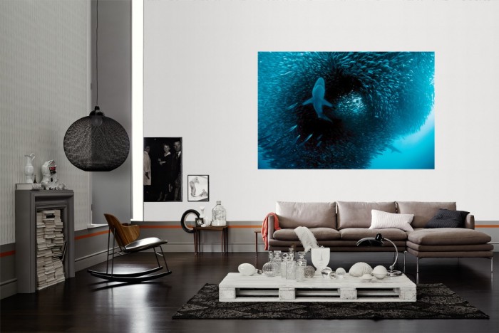 Die Fototapete Hai auf Jagd nach Fischen als Wandbild im Wohnzimmer. Die Vlies-Fototapete Hai auf Jagd nach Fischen verschönert als Wandbild Deine Wand.