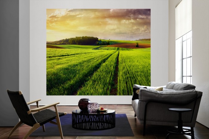 Die Fototapete Gras Landschaft bei Sonnenaufgang als große Bildtapete im Wohnzimmer. Als Bildtapete ist die Fototapete Gras Landschaft bei Sonnenaufgang ein besonderes Highlight auf Vliestapete.