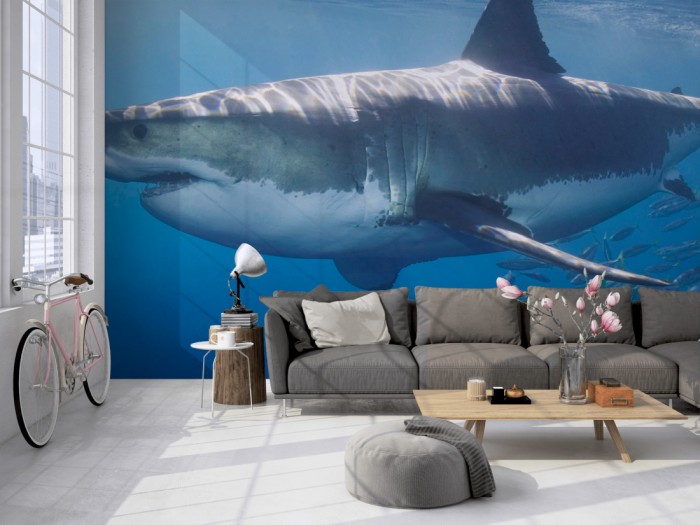 Die Fototapete Hai mit Fischschwarm auf einer großen Wand im Loft tapeziert. Die Fototapete Hai mit Fischschwarm wird individuell auf Deine Wand angepasst.