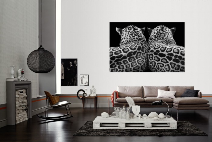 Die Fototapete Leoparden, schwarz-weiß als Wandbild im Wohnzimmer. Die Vlies-Fototapete Leoparden, schwarz-weiß verschönert als Wandbild Deine Wand.
