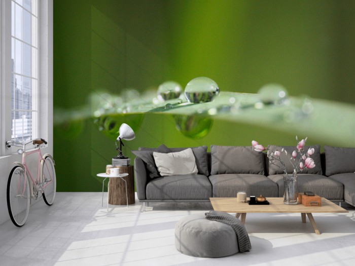 Die Fototapete Grashalm mit Wassertropfen auf einer großen Wand im Loft tapeziert. Die Fototapete Grashalm mit Wassertropfen wird individuell auf Deine Wand angepasst.