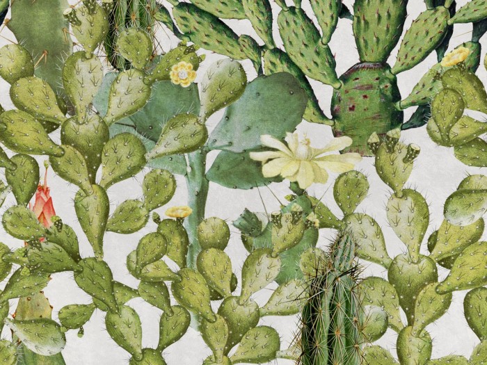 Detailansicht der Selected Walls Tapete Los Mochis Cacti Wallpaper Col. 01