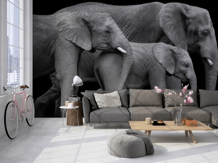 Die Fototapete Elefanten Familie, schwarz-weiß auf einer großen Wand im Loft tapeziert. Die Fototapete Elefanten Familie, schwarz-weiß wird individuell auf Deine Wand angepasst.