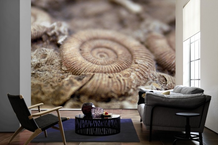 Im Wohnzimmer die Fototapete Fossil auf einer großen Wand tapeziert. Die Fototapete Fossil ist als Vlies-Fototapete im Wohnzimmer leicht zu tapezieren.