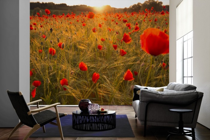 Im Wohnzimmer die Fototapete Mohnblumen bei Sonnenaufgang auf einer großen Wand tapeziert. Die Fototapete Mohnblumen bei Sonnenaufgang ist als Vlies-Fototapete im Wohnzimmer leicht zu tapezieren.