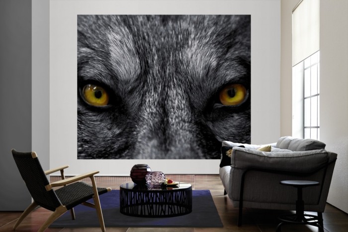Die Fototapete Wolf im Blick als große Bildtapete im Wohnzimmer. Als Bildtapete ist die Fototapete Wolf im Blick ein besonderes Highlight auf Vliestapete.