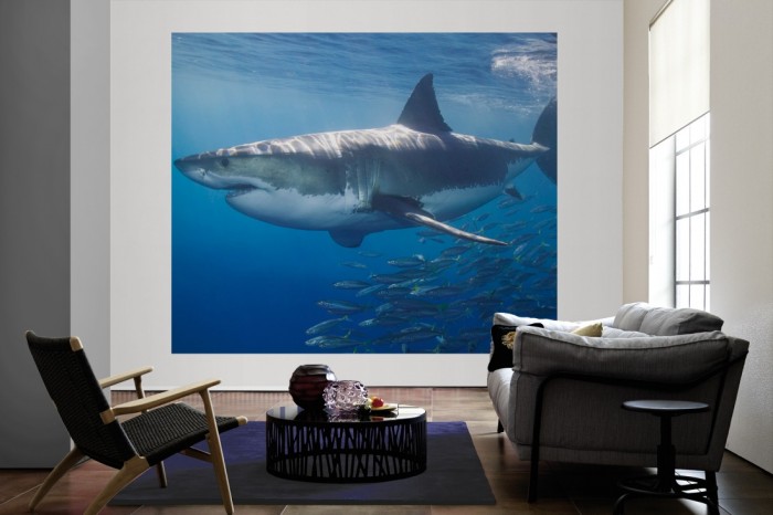 Die Fototapete Hai mit Fischschwarm als große Bildtapete im Wohnzimmer. Als Bildtapete ist die Fototapete Hai mit Fischschwarm ein besonderes Highlight auf Vliestapete.