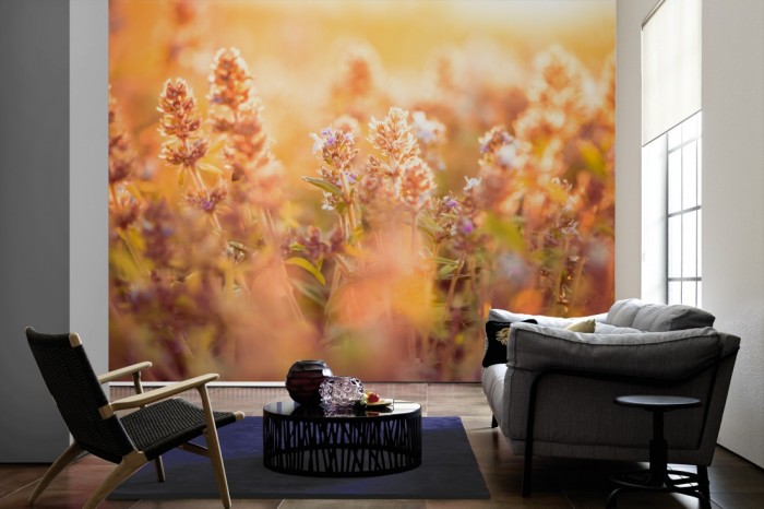 Im Wohnzimmer die Fototapete Salbeipflanzen im Sonnenschein auf einer großen Wand tapeziert. Die Fototapete Salbeipflanzen im Sonnenschein ist als Vlies-Fototapete im Wohnzimmer leicht zu tapezieren.