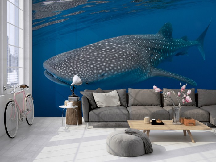 Die Fototapete Walhai im Ozean auf einer großen Wand im Loft tapeziert. Die Fototapete Walhai im Ozean wird individuell auf Deine Wand angepasst.
