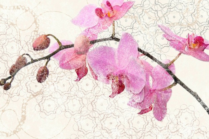 Die Design-Fototapete Orchidee, Artwork, eine Vlies-Fototapete bei Livingwalls Cologne online kaufen. Die Design-Fototapete Orchidee, Artwork ist eine Fototapete auf Maß.