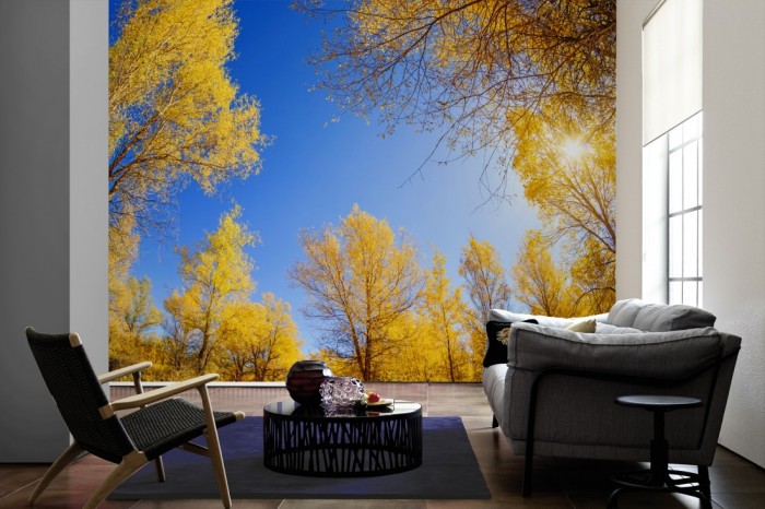 Im Wohnzimmer die Fototapete Waldlichtung im herbstlichen Sonnenschein auf einer großen Wand tapeziert. Die Fototapete Waldlichtung im herbstlichen Sonnenschein ist als Vlies-Fototapete im Wohnzimmer leicht zu tapezieren.